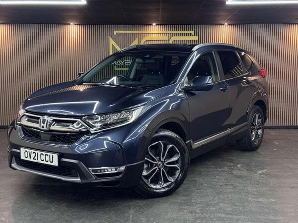 Large Image